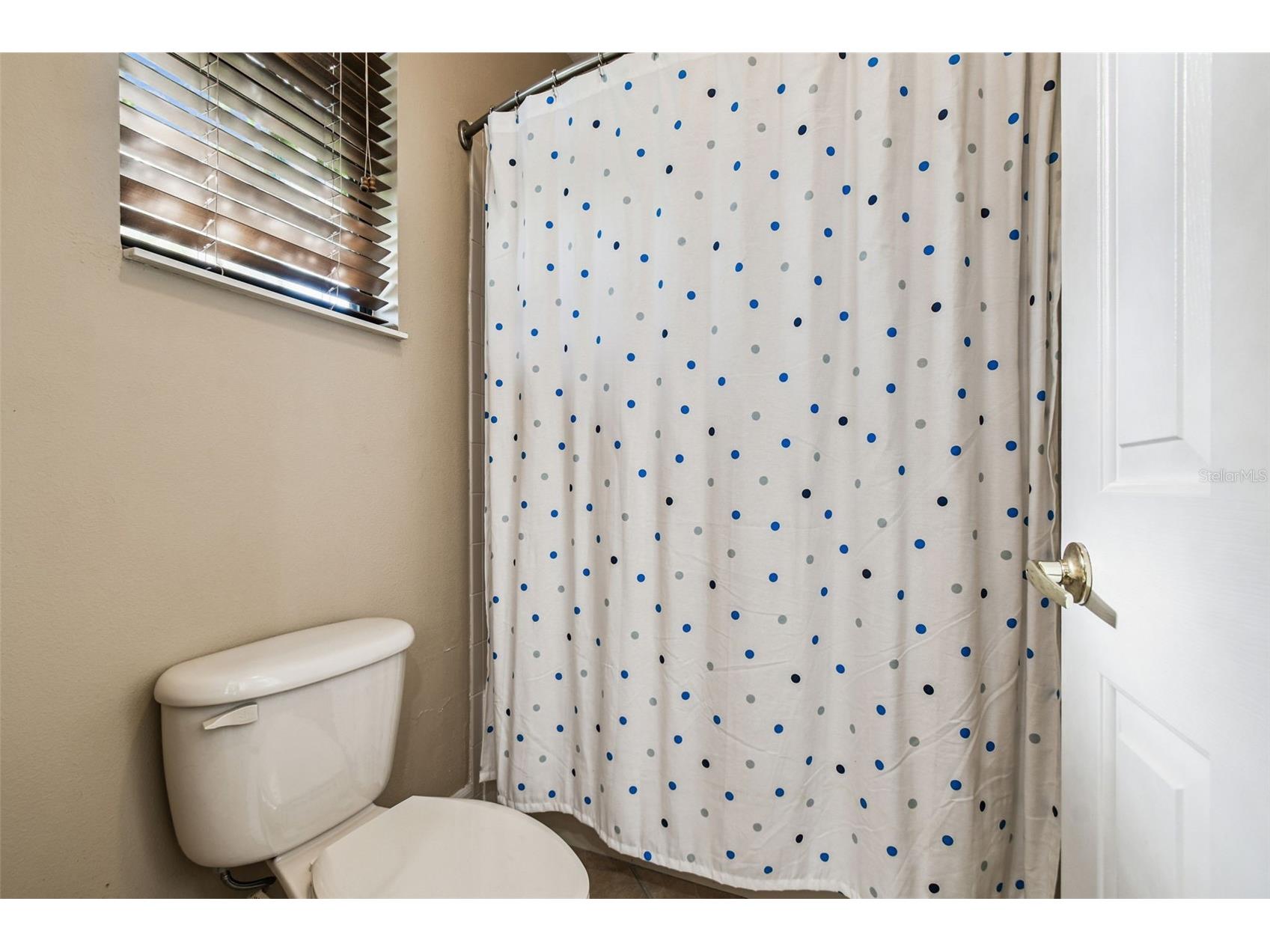 3811 Ivydale Court Land O Lakes FL 34638 TB8454888 image67