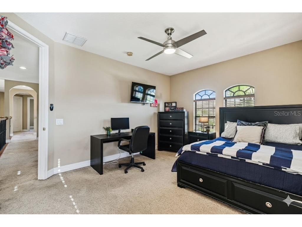 3811 Ivydale Court Land O Lakes FL 34638 TB8454888 image69