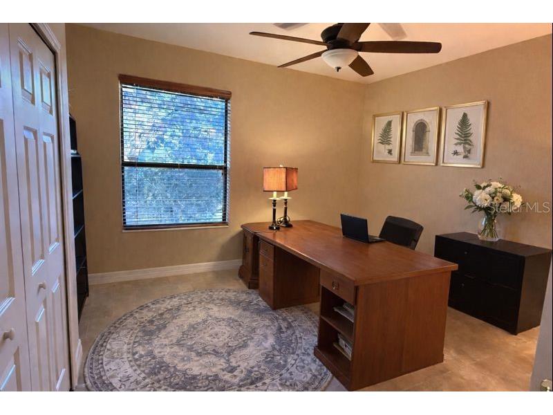 3811 Ivydale Court Land O Lakes FL 34638 TB8454888 image76