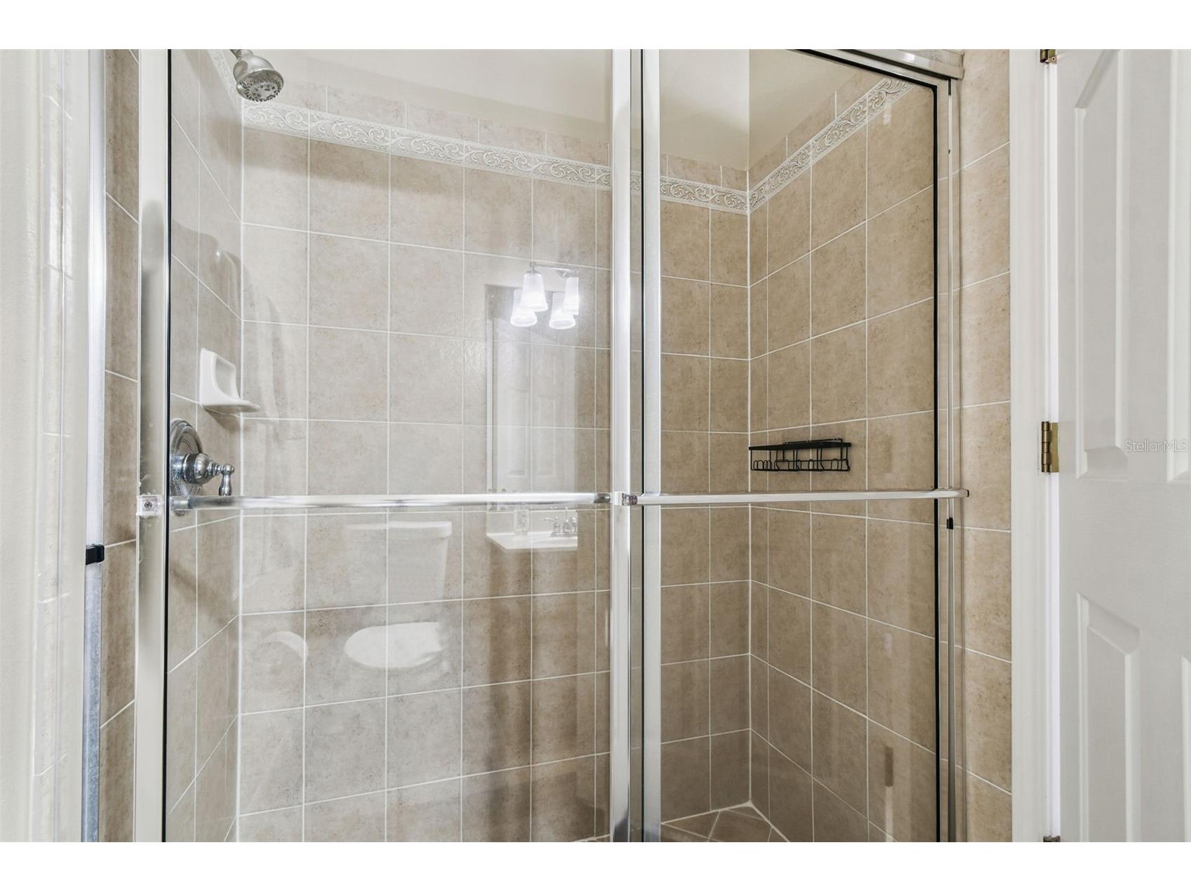 3811 Ivydale Court Land O Lakes FL 34638 TB8454888 image78