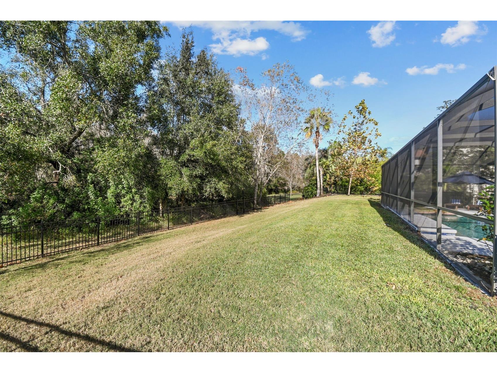 3811 Ivydale Court Land O Lakes FL 34638 TB8454888 image83