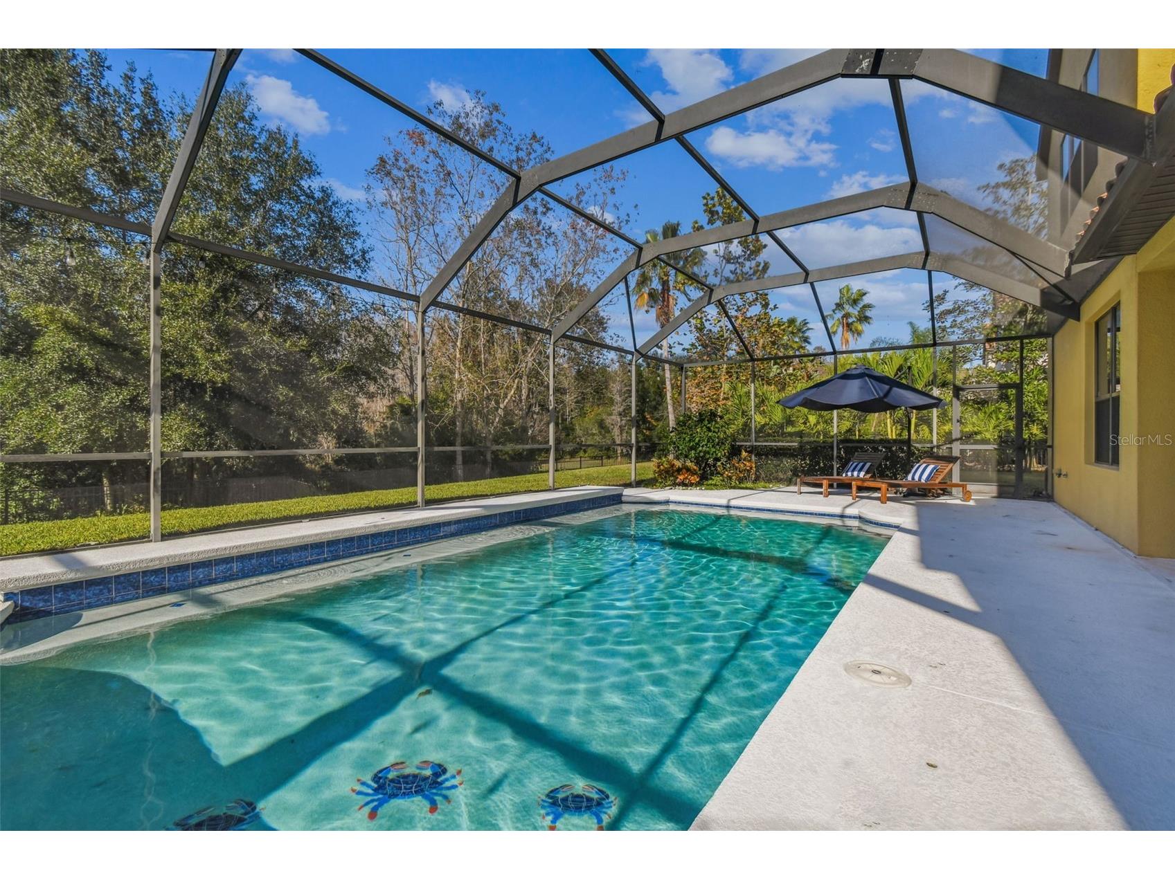 3811 Ivydale Court Land O Lakes FL 34638 TB8454888 image84