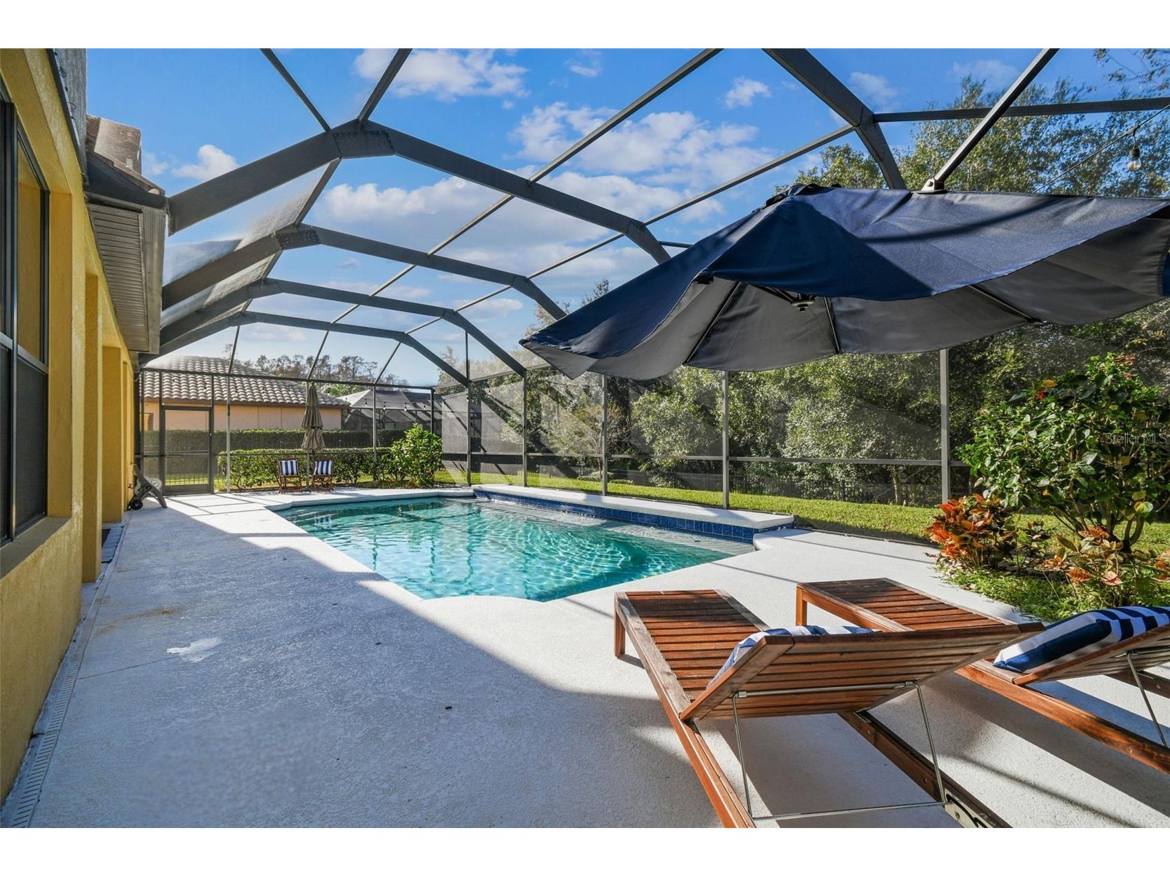 3811 Ivydale Court Land O Lakes FL 34638 TB8454888 image86