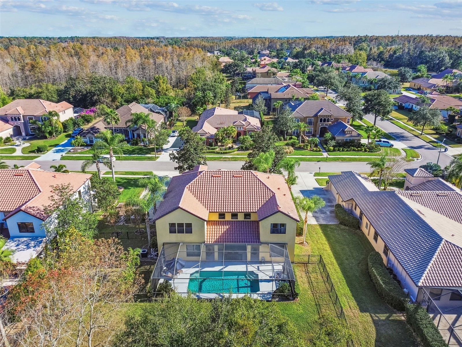 3811 Ivydale Court Land O Lakes FL 34638 TB8454888 image90