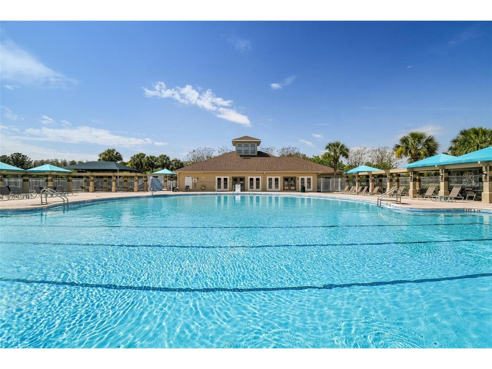 3811 Ivydale Court Land O Lakes FL 34638 TB8454888 image99