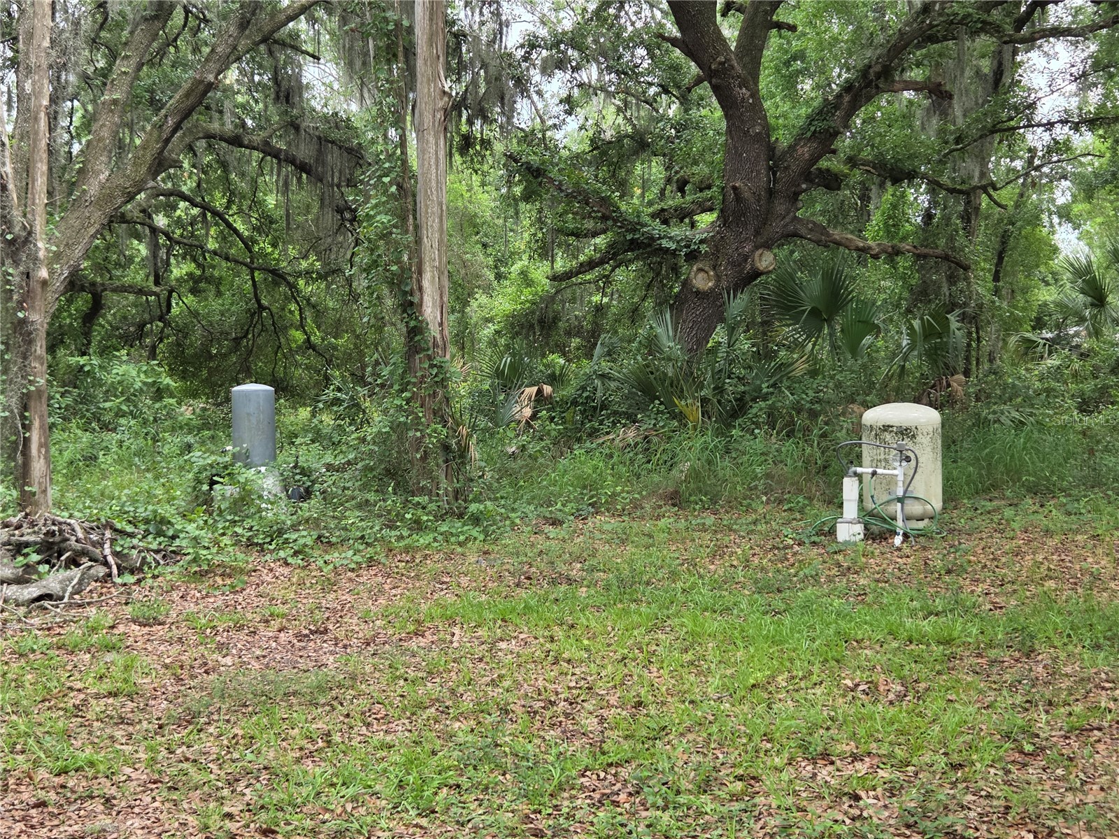 3811 Kirkland Road Plant City FL 33566 L4962312 image25