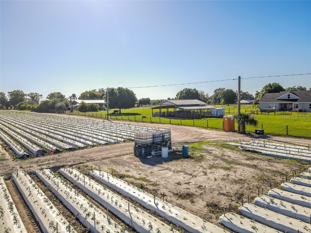 3811 Old Mulberry Road Plant City FL 33567 T3513033 image10