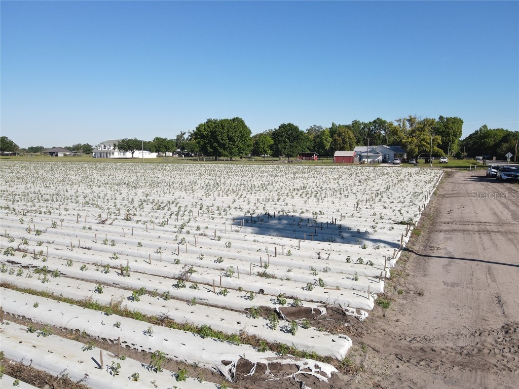 3811 Old Mulberry Road Plant City FL 33567 T3513033 image13