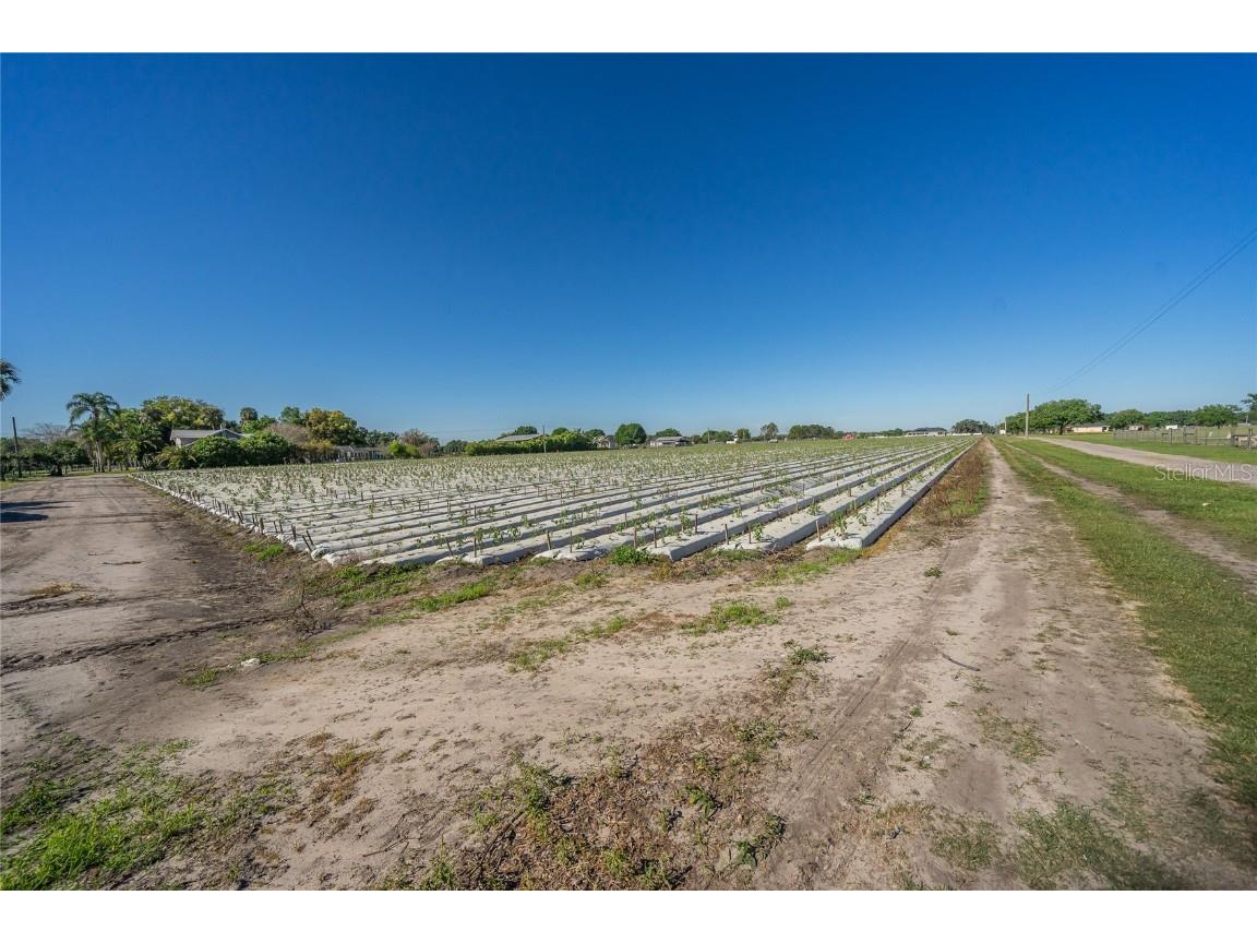 3811 Old Mulberry Road Plant City FL 33567 T3513033 image14