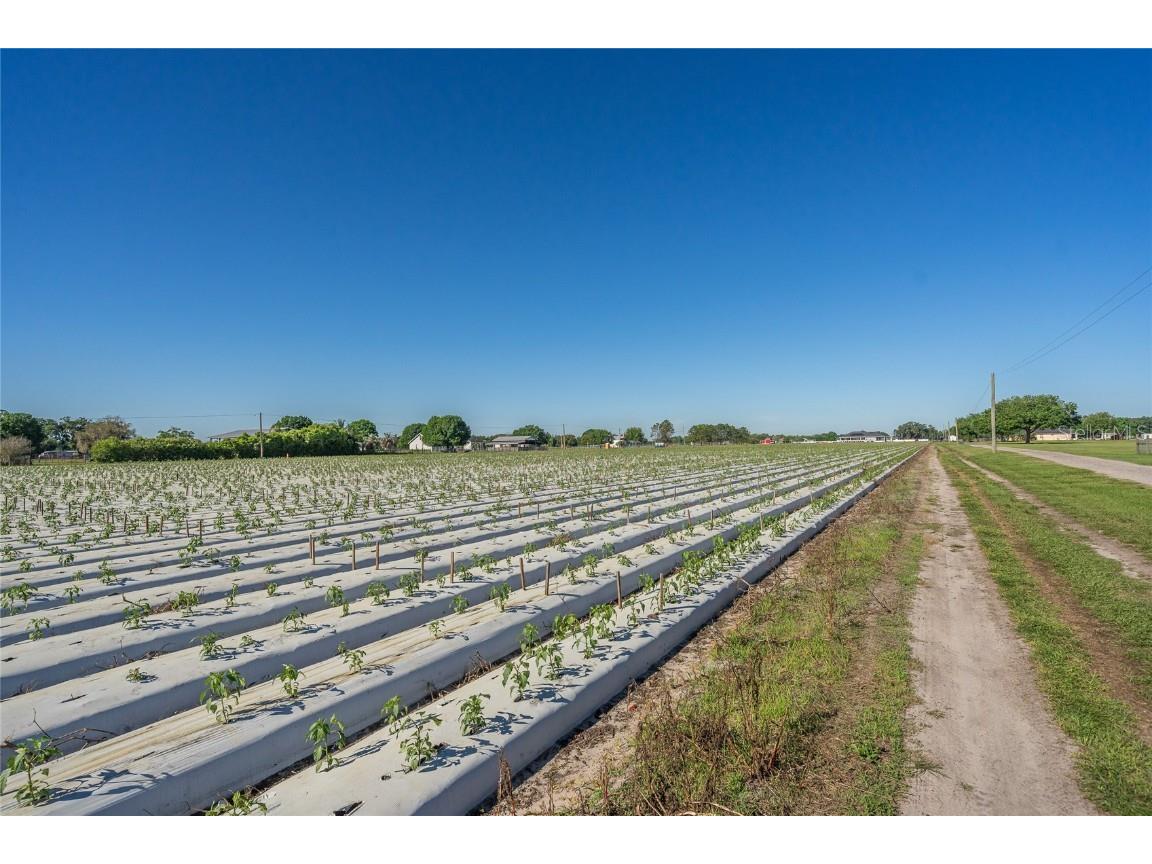 3811 Old Mulberry Road Plant City FL 33567 T3513033 image15