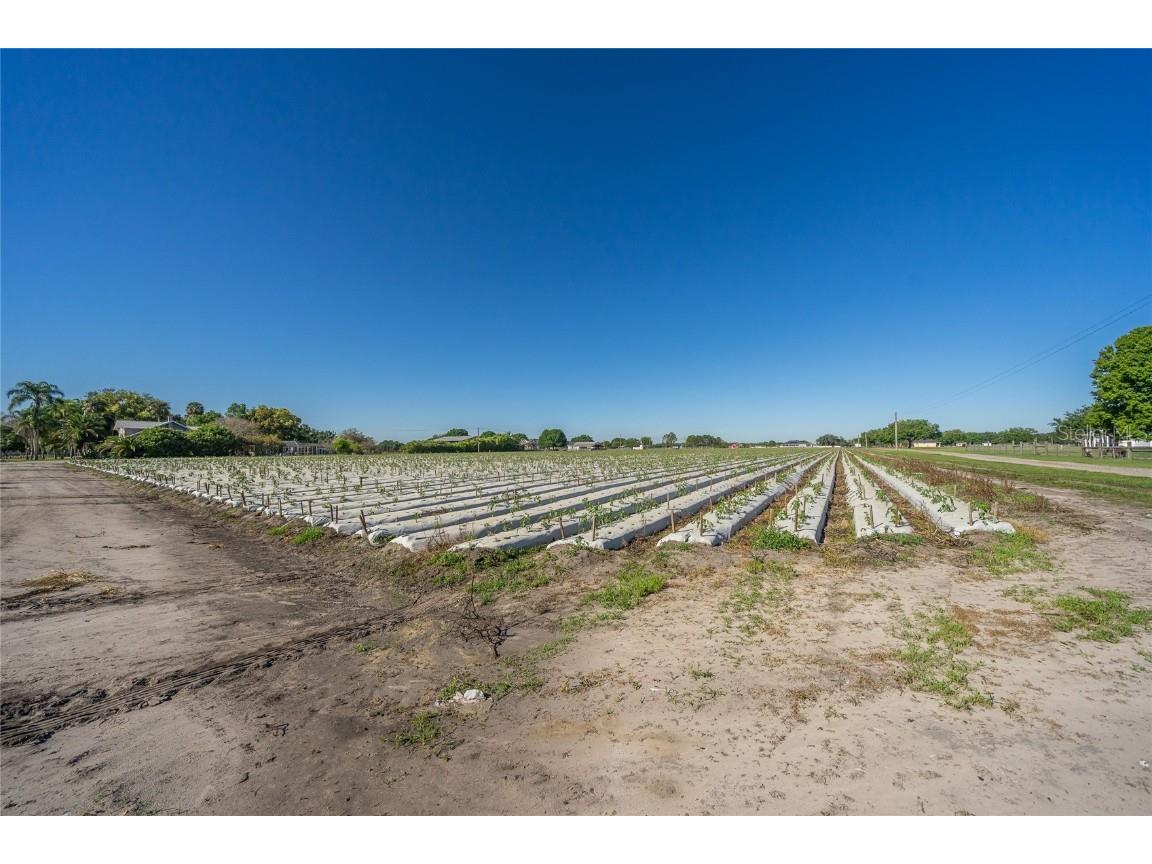 3811 Old Mulberry Road Plant City FL 33567 T3513033 image16