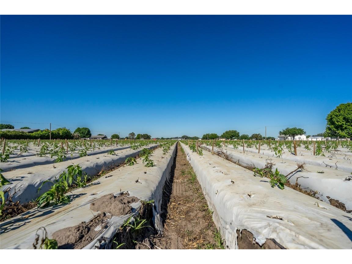 3811 Old Mulberry Road Plant City FL 33567 T3513033 image17