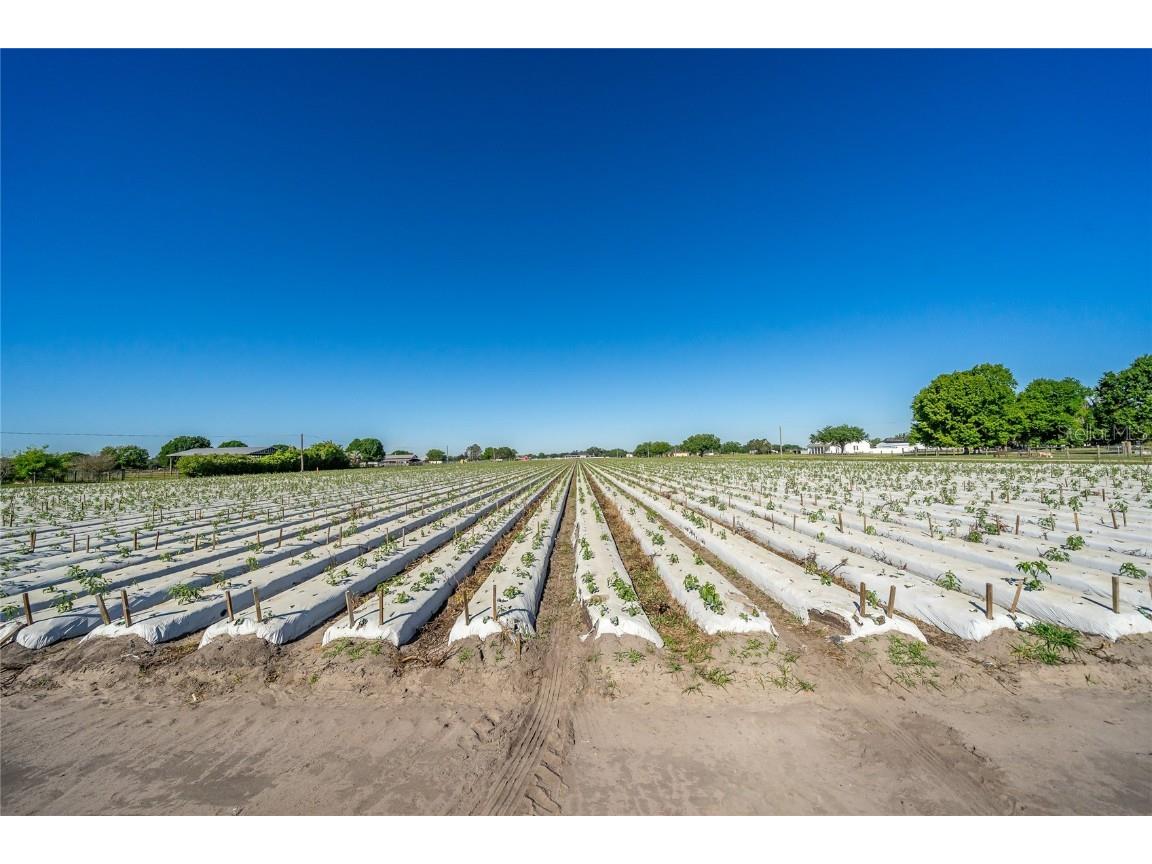 3811 Old Mulberry Road Plant City FL 33567 T3513033 image18