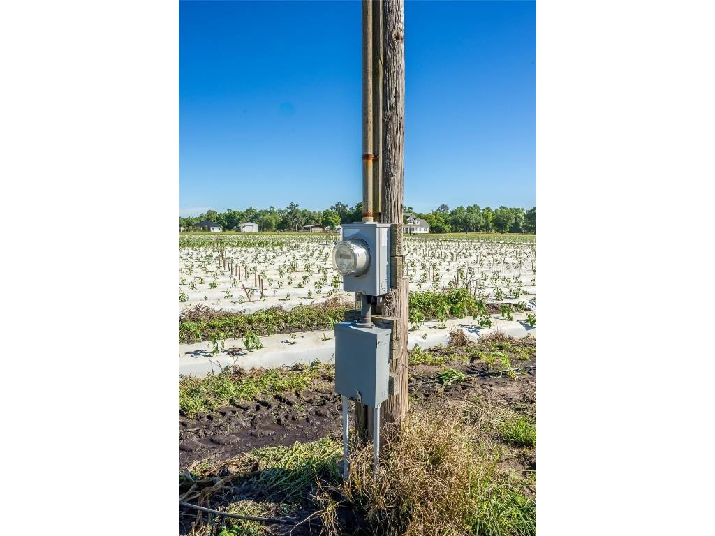 3811 Old Mulberry Road Plant City FL 33567 T3513033 image19