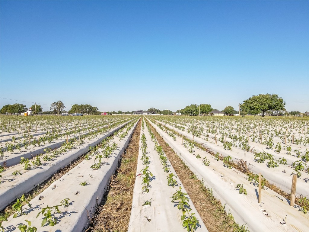 3811 Old Mulberry Road Plant City FL 33567 T3513033 image3