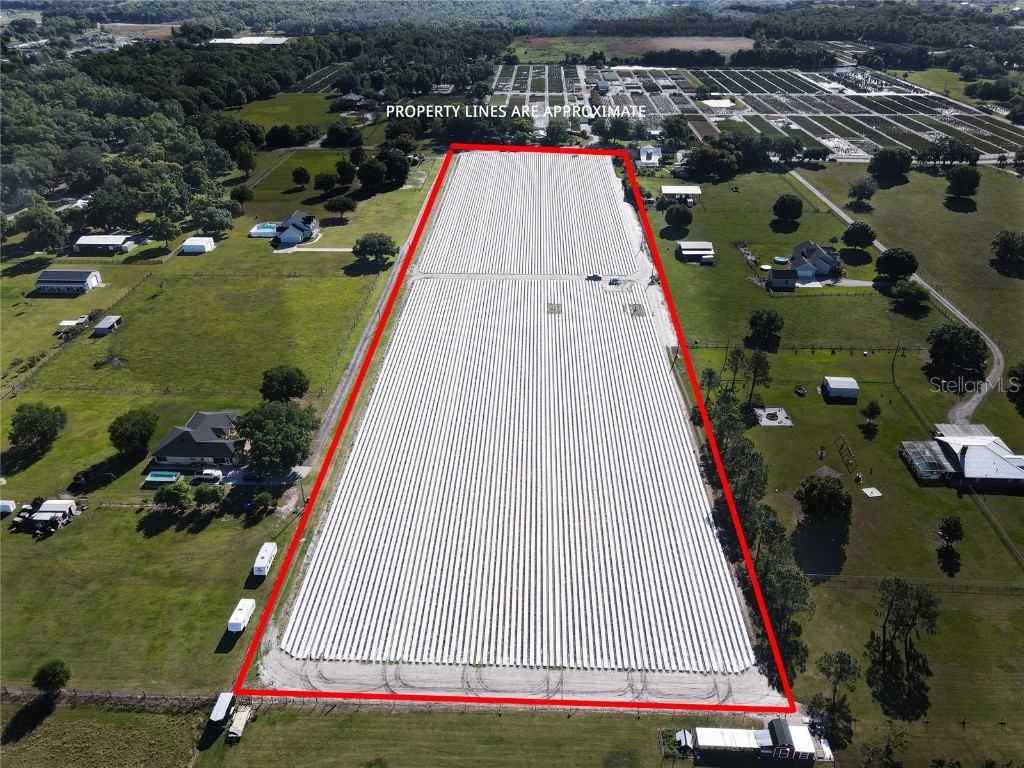 3811 Old Mulberry Road Plant City FL 33567 T3513033 image4