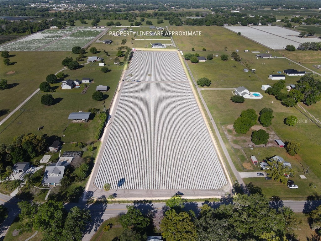 3811 Old Mulberry Road Plant City FL 33567 T3513033 image8