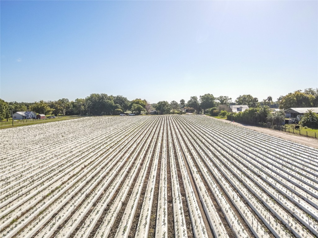 3811 Old Mulberry Road Plant City FL 33567 T3513033 image9