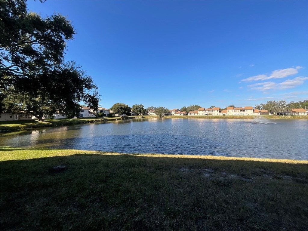 3811 Sailmaker Lane Holiday FL 34691 TB8449382 image4