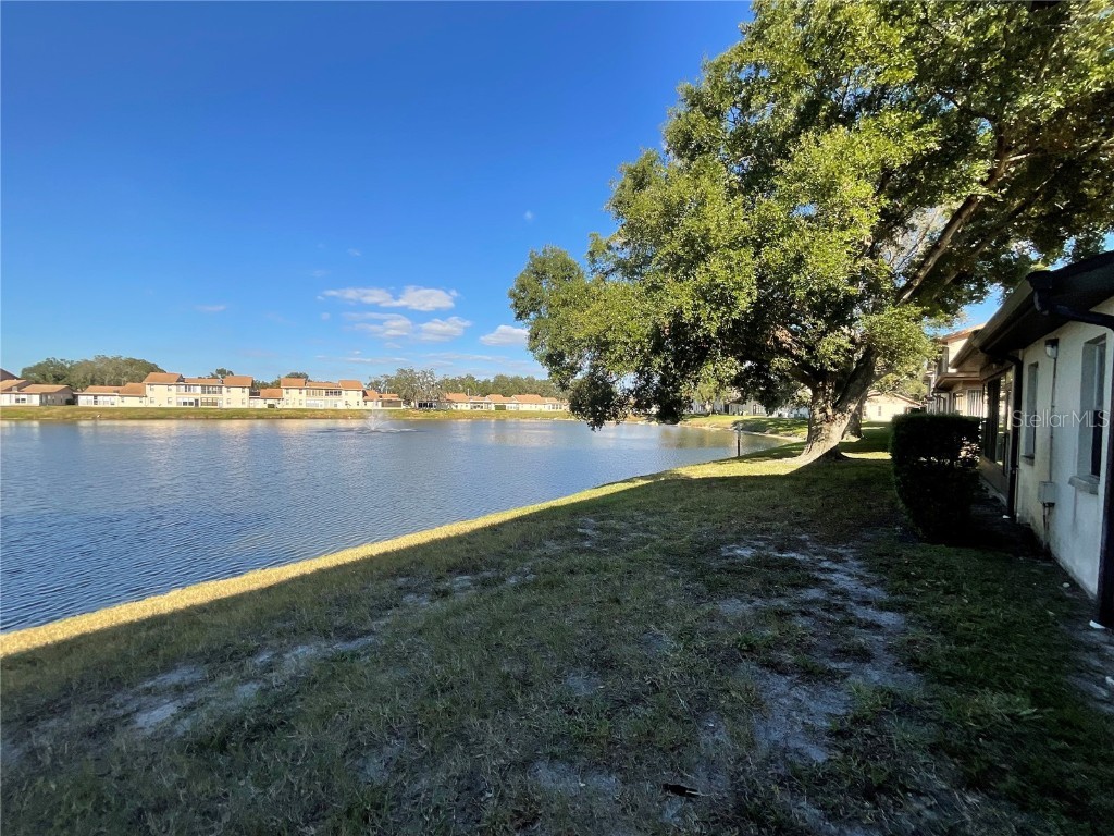 3811 Sailmaker Lane Holiday FL 34691 TB8449382 image5