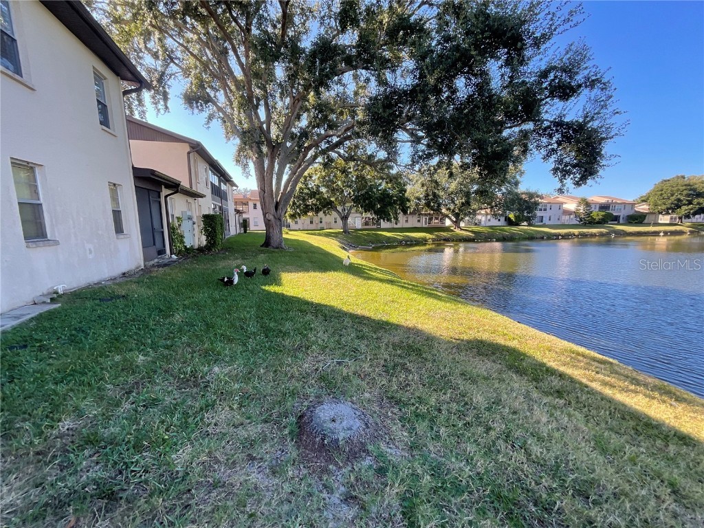 3811 Sailmaker Lane Holiday FL 34691 TB8449382 image6