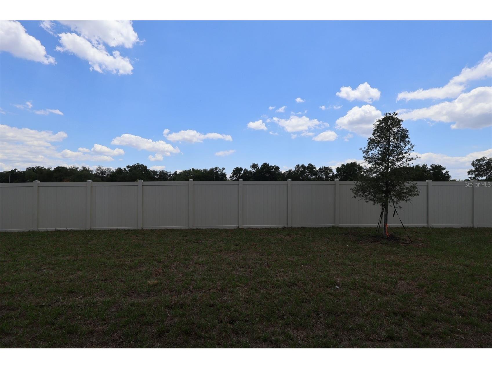 3811 Wolves Creek Place Apopka FL 32712 O6373106 image17