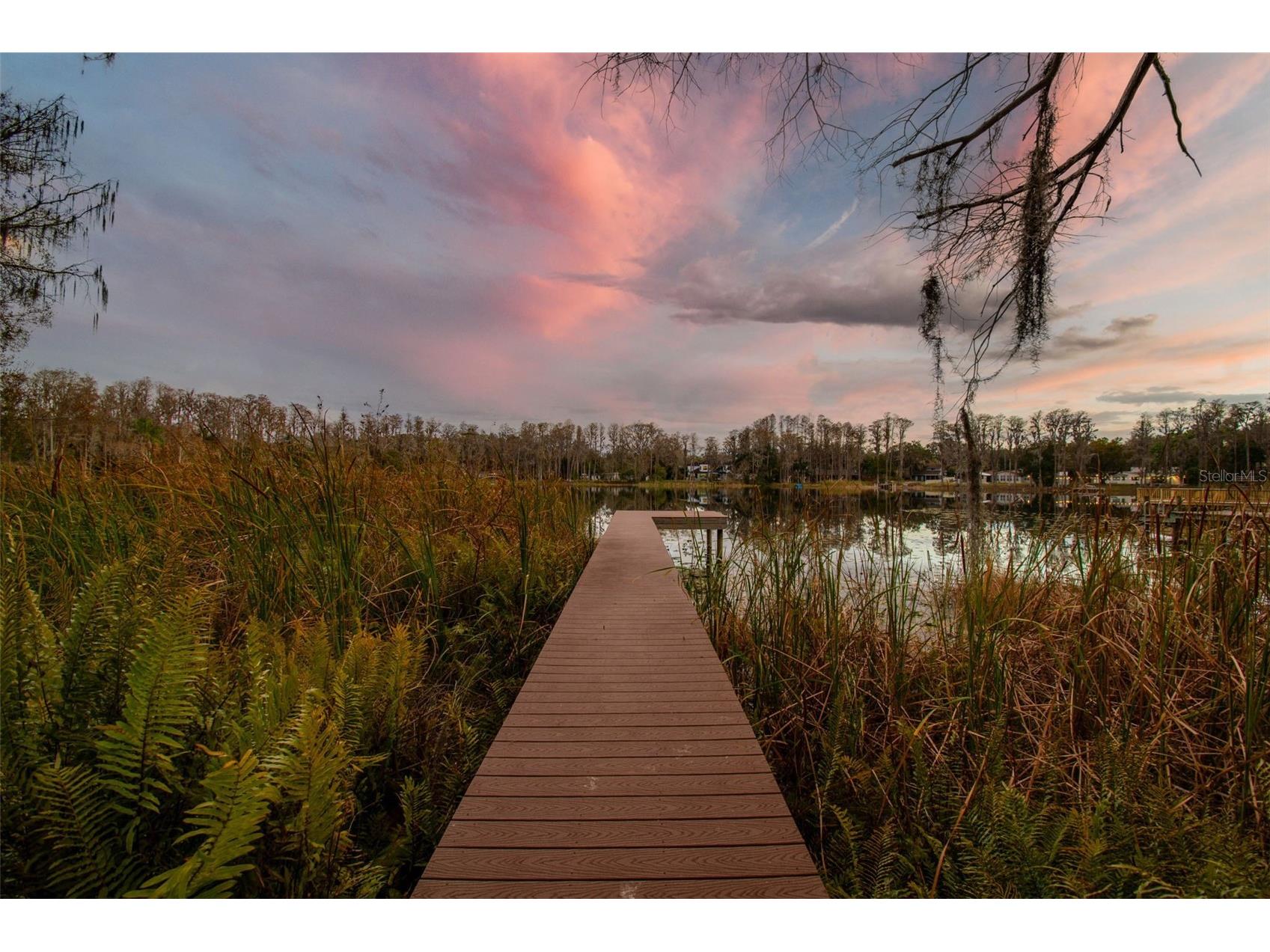 3812 Little Road Lutz FL 33548 - Round Lake TB8478341 image2