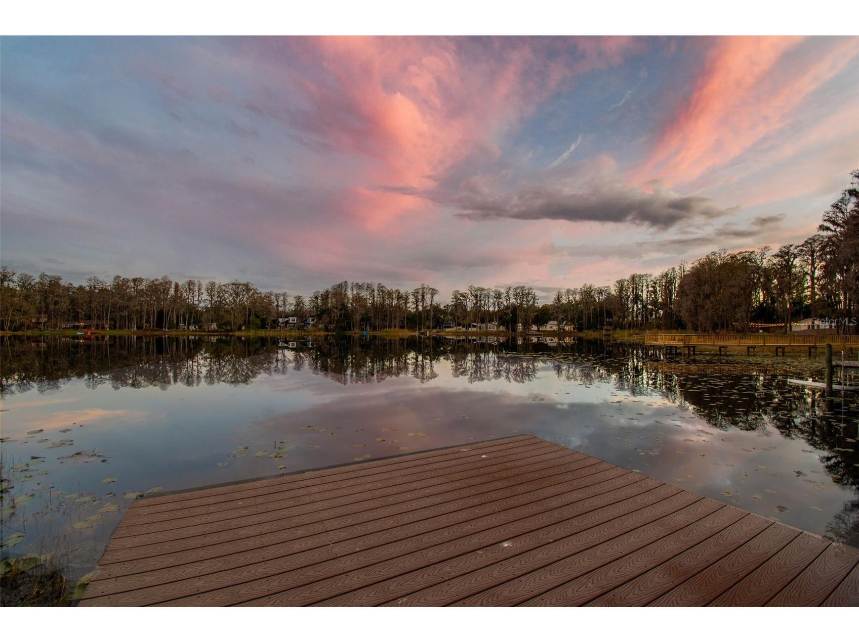 3812 Little Road Lutz FL 33548 - Round Lake TB8478341 image3