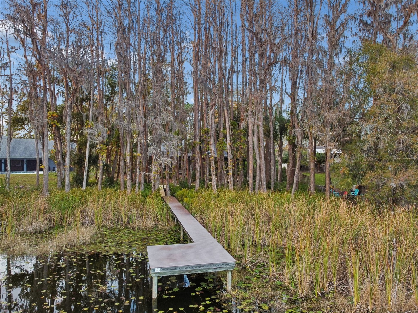 3812 Little Road Lutz FL 33548 - Round Lake TB8478341 image5
