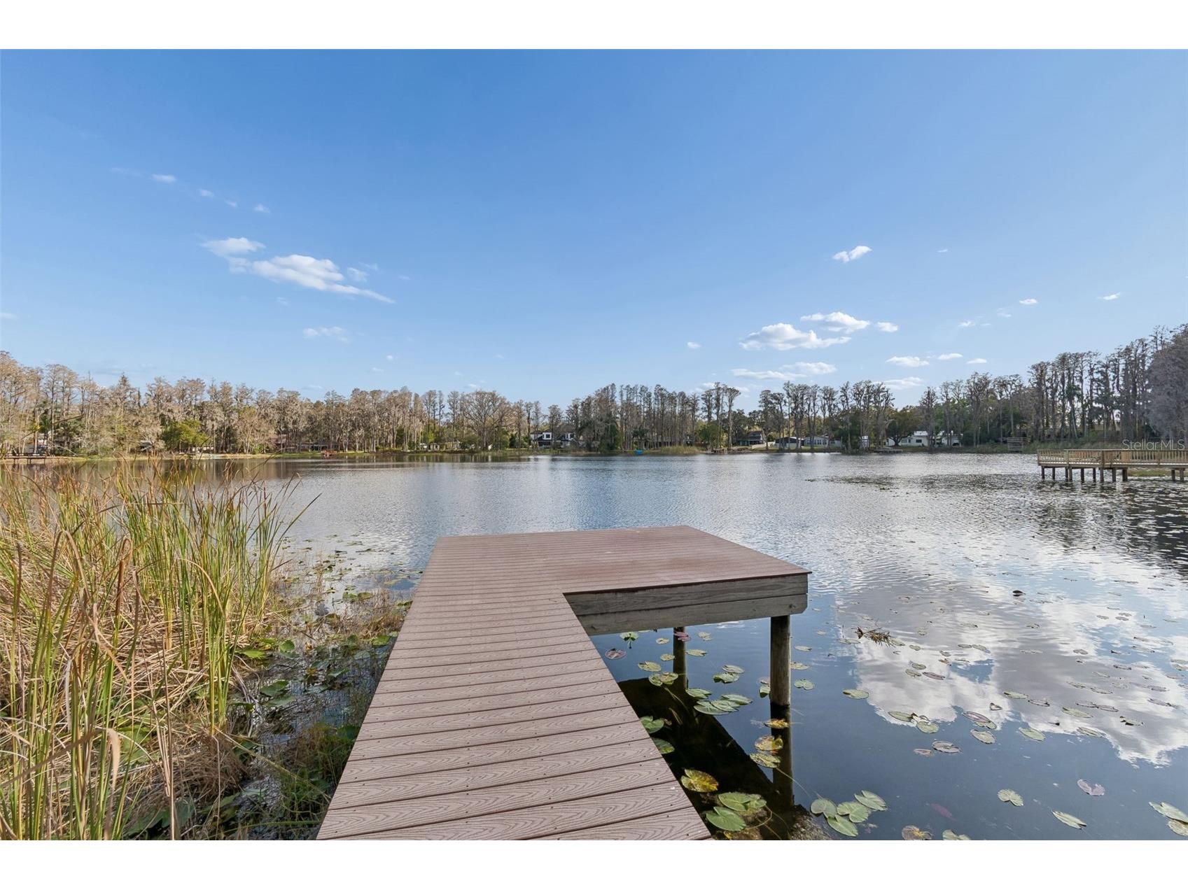 3812 Little Road Lutz FL 33548 - Round Lake TB8478341 image6