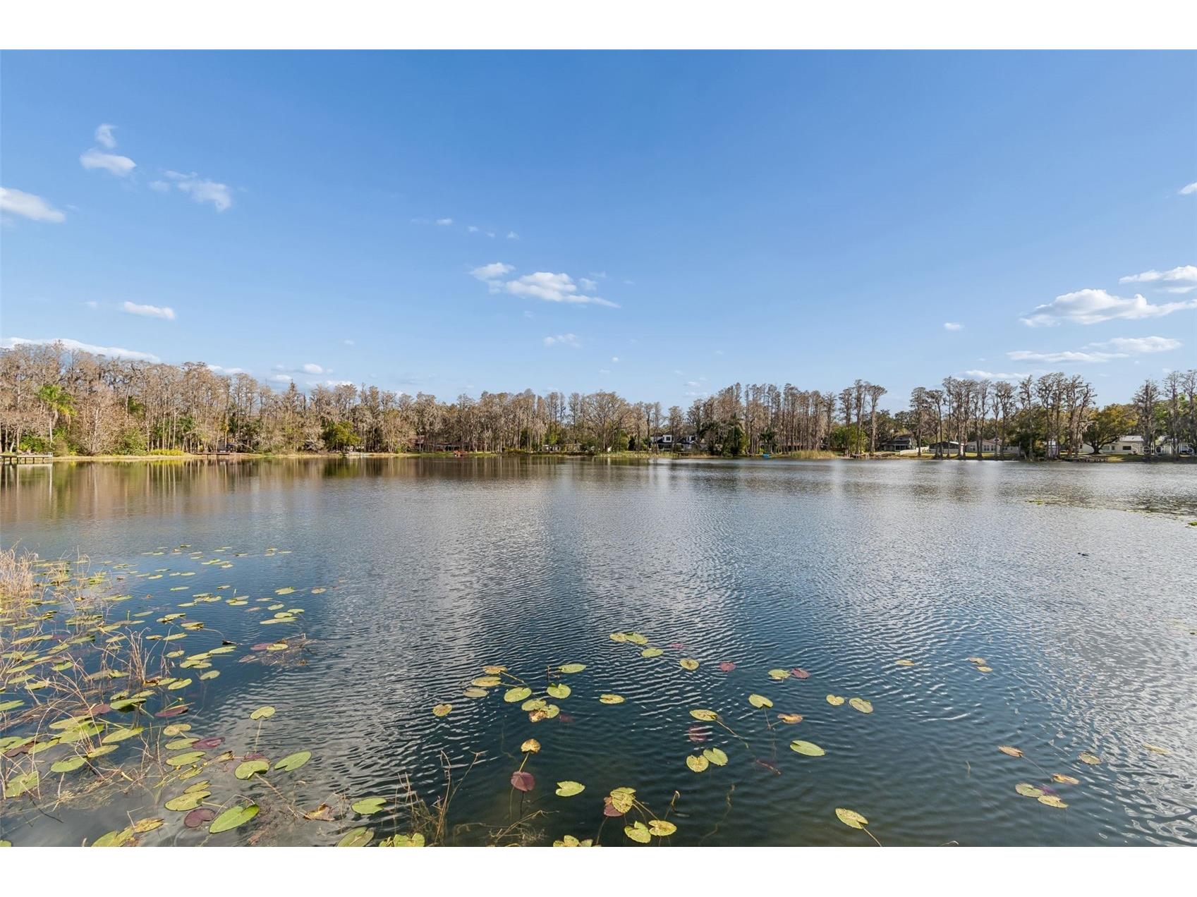 3812 Little Road Lutz FL 33548 - Round Lake TB8478341 image7