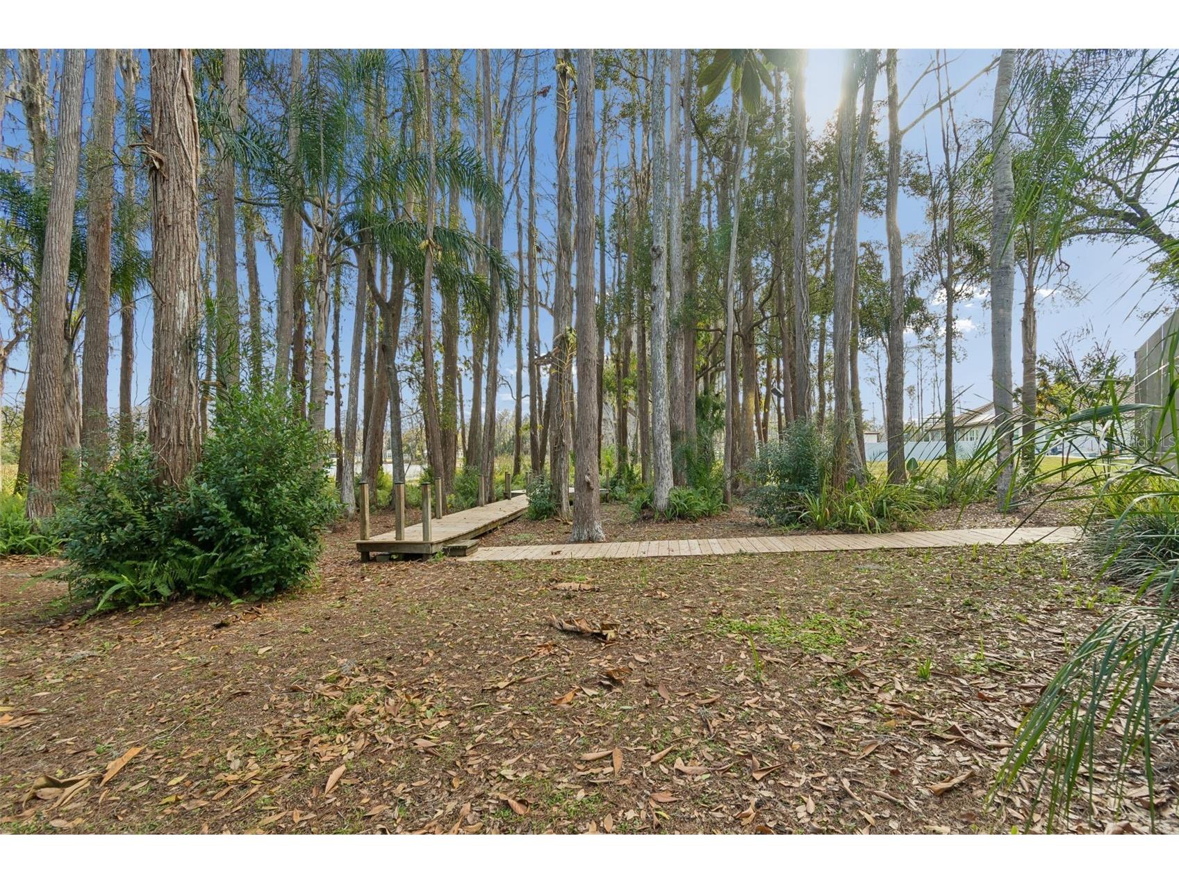 3812 Little Road Lutz FL 33548 - Round Lake TB8478341 image83