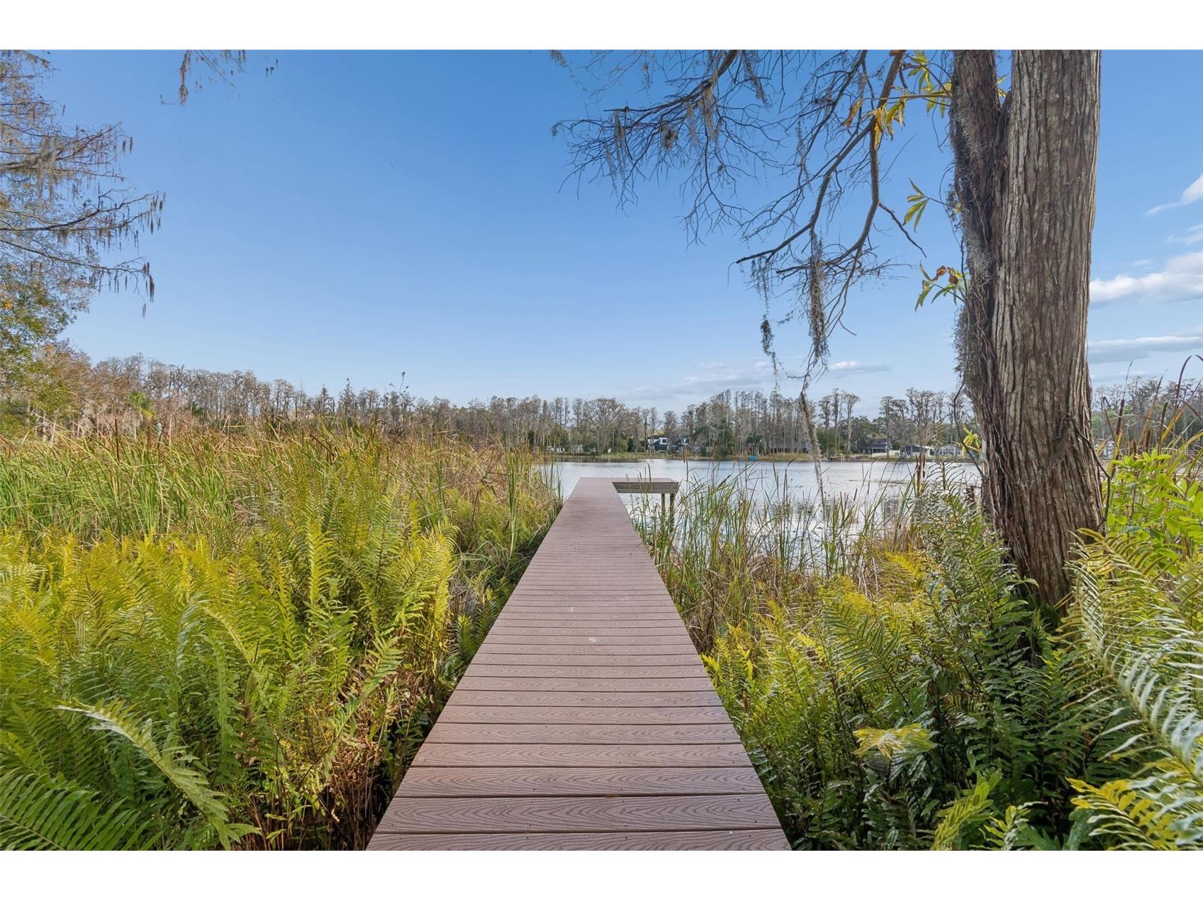 3812 Little Road Lutz FL 33548 - Round Lake TB8478341 image85