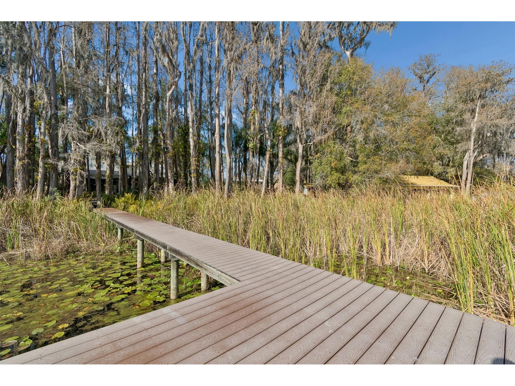 3812 Little Road Lutz FL 33548 - Round Lake TB8478341 image86
