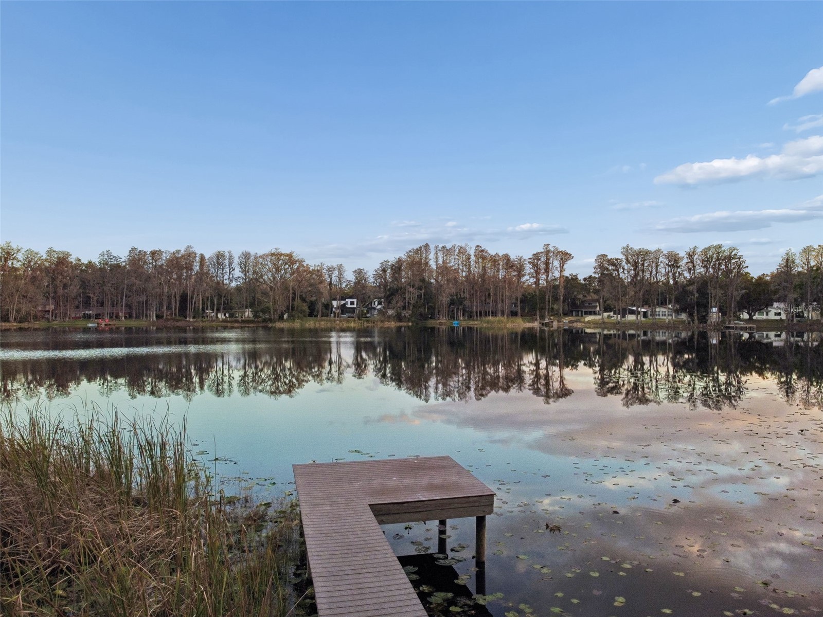 3812 Little Road Lutz FL 33548 - Round Lake TB8478341 image87