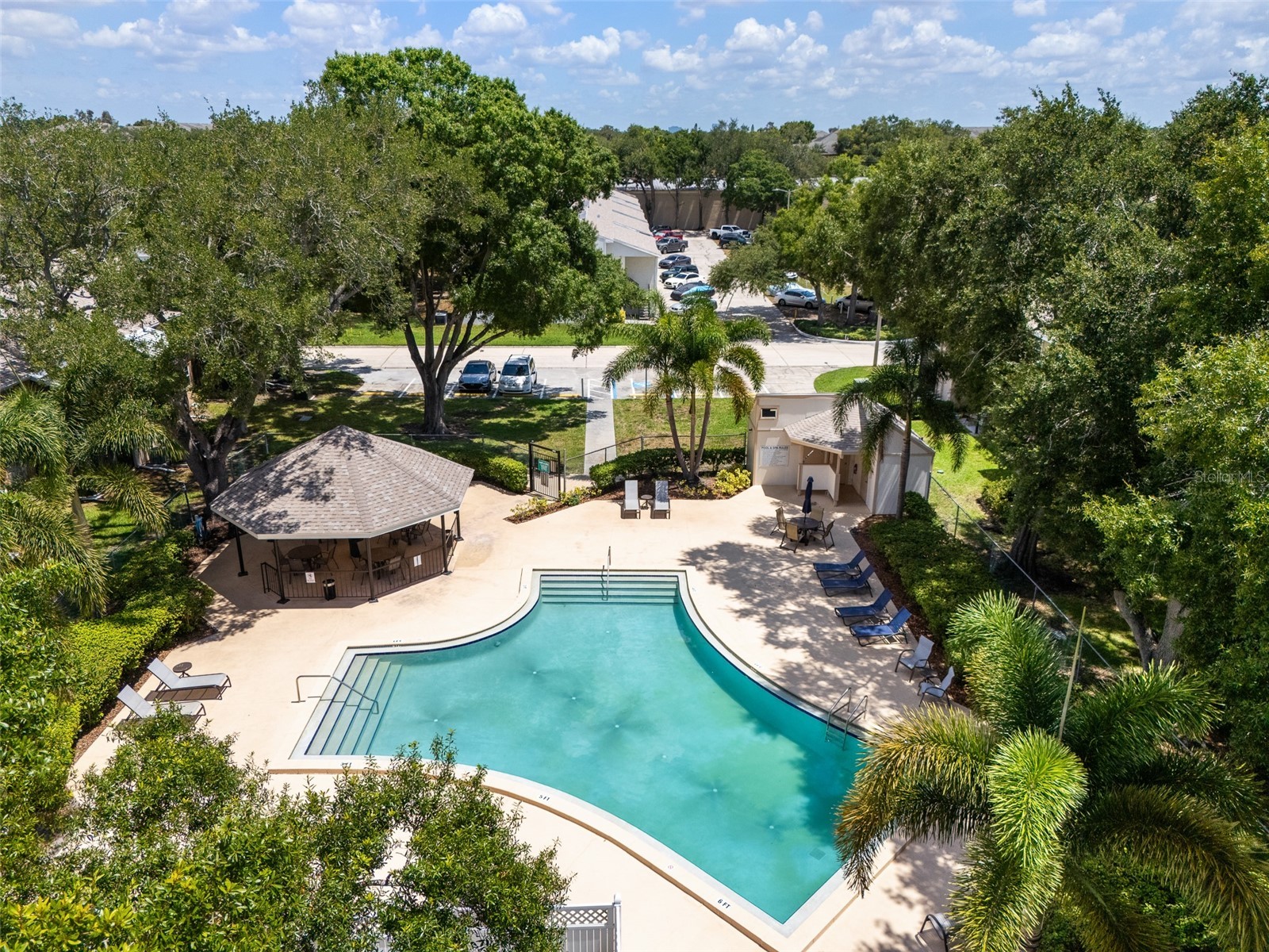 3812 N Oak Drive #M72 Tampa FL 33611 TB8526801 image22