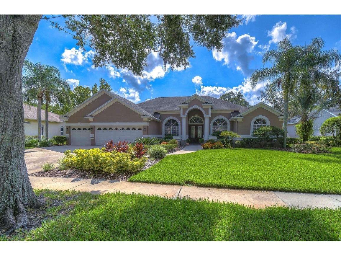 3812 S Nine Drive Valrico FL 33596 T3462641 image1