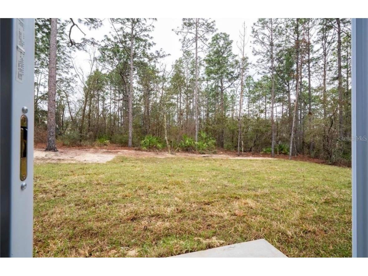 3812 W Eunice Drive Citrus Springs FL 34433 O6359474 image43