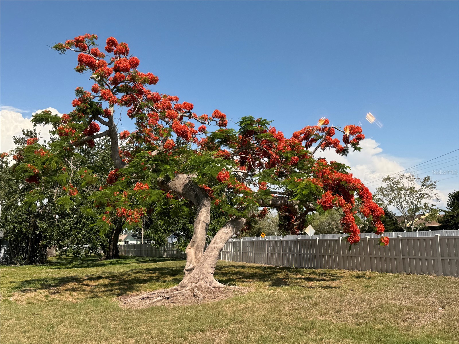 3813 42nd Street W #37 Bradenton FL 34205 A4671182 image53
