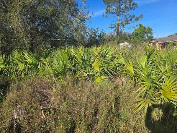 3813 5th Street SW Lehigh Acres FL 33976 L4959769 image10