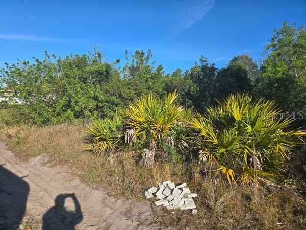 3813 5th Street SW Lehigh Acres FL 33976 L4959769 image11
