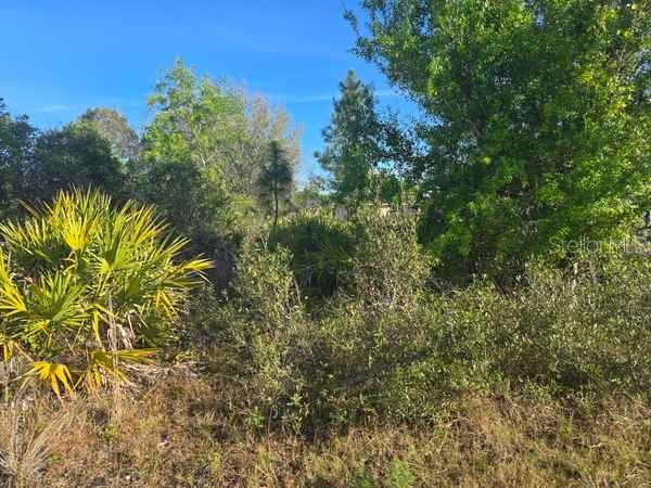 3813 5th Street SW Lehigh Acres FL 33976 L4959769 image12