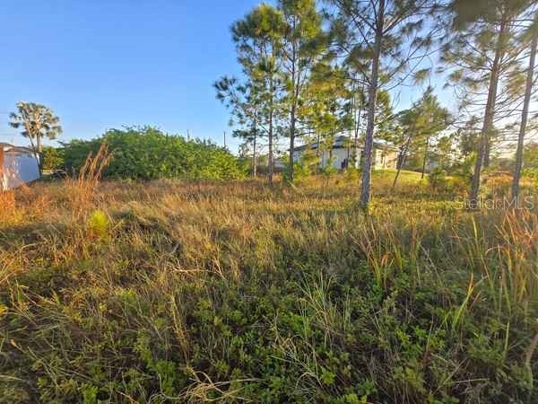 3813 5th Street SW Lehigh Acres FL 33976 L4959769 image2