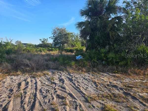 3813 5th Street SW Lehigh Acres FL 33976 L4959769 image22