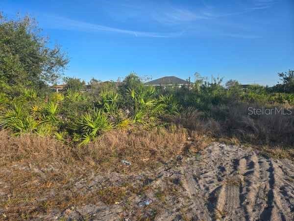 3813 5th Street SW Lehigh Acres FL 33976 L4959769 image23