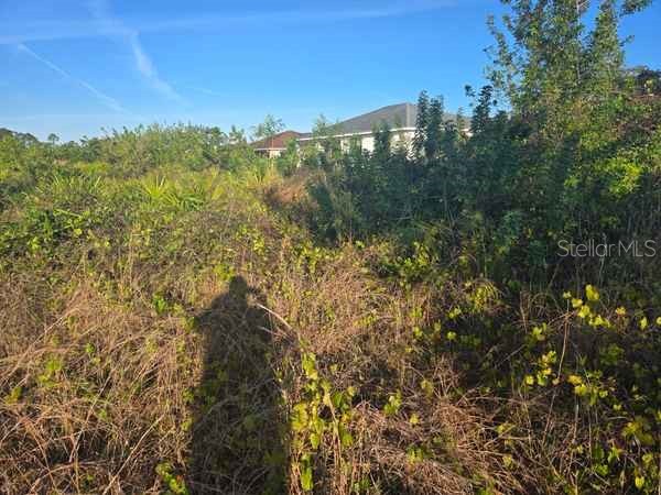 3813 5th Street SW Lehigh Acres FL 33976 L4959769 image24