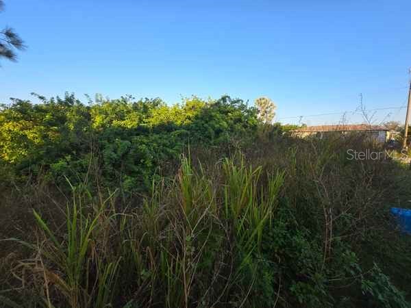 3813 5th Street SW Lehigh Acres FL 33976 L4959769 image3