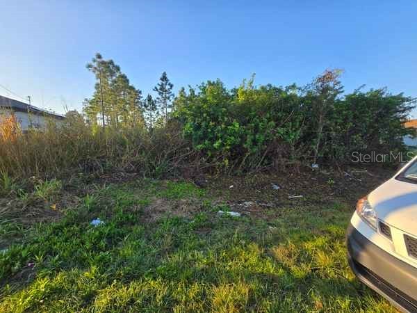 3813 5th Street SW Lehigh Acres FL 33976 L4959769 image6