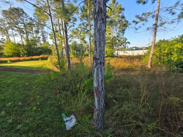 3813 5th Street SW Lehigh Acres FL 33976 L4959769 image8