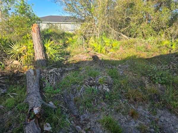 3813 5th Street SW Lehigh Acres FL 33976 L4959769 image9
